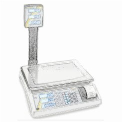bobines rouleaux thermiques etiquettes pour balance Kern RGS