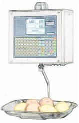 bobines rouleaux thermiques etiquettes pour balance Master MACH 8900