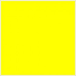 L 56 x H 40 x 25.4 JAUNE - thermique - Etiquettes Datamax - pantone