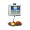 Master CE 9900