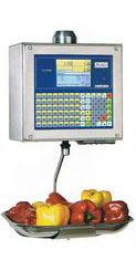 bobines rouleaux thermiques etiquettes pour balance Master CE 9900